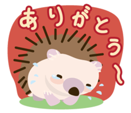Hedgehog! sticker #5899484