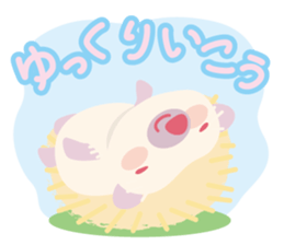 Hedgehog! sticker #5899487