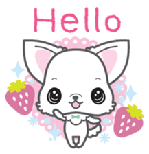 Baby Chihuahua (English) sticker #5899912