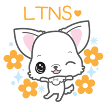 Baby Chihuahua (English) sticker #5899913