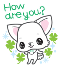 Baby Chihuahua (English) sticker #5899915
