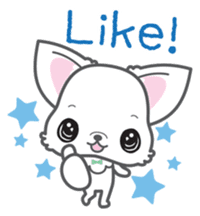 Baby Chihuahua (English) sticker #5899917