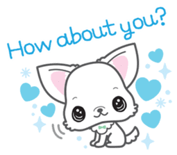 Baby Chihuahua (English) sticker #5899931