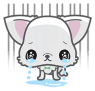 Baby Chihuahua (English) sticker #5899942