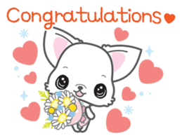 Baby Chihuahua (English) sticker #5899948