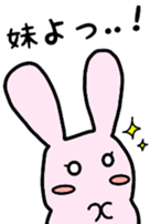 Daily life sticker of rabbit sisters sticker #5900332