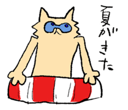 Funny cat Perli sticker #5900428