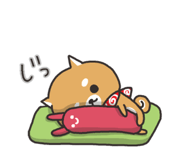 Japanese midget Shiba sticker #5901719
