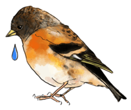 japanese bird 2 sticker #5902641