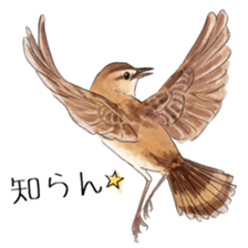 japanese bird 2 sticker #5902644