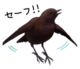 japanese bird 2 sticker #5902647