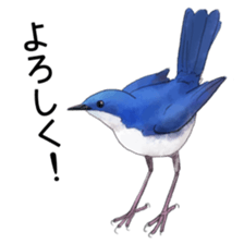 japanese bird 2 sticker #5902653