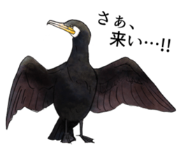 japanese bird 2 sticker #5902658