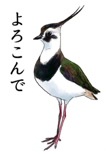 japanese bird 2 sticker #5902659