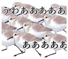japanese bird 2 sticker #5902670