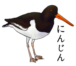 japanese bird 2 sticker #5902671