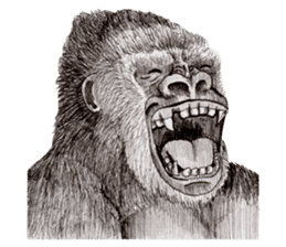 Gorilla 2nd ver. sticker #5903152