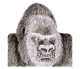 Gorilla 2nd ver. sticker #5903154