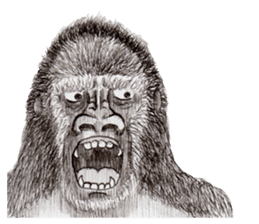 Gorilla 2nd ver. sticker #5903155