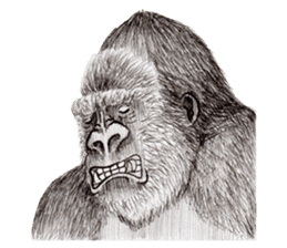 Gorilla 2nd ver. sticker #5903156