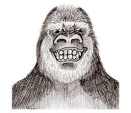 Gorilla 2nd ver. sticker #5903157