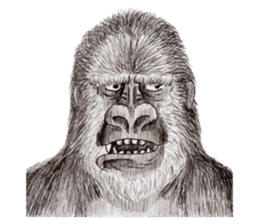Gorilla 2nd ver. sticker #5903161