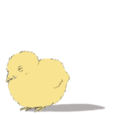 Tori-san, She has two children. sticker #5904063