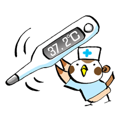 Get well soon with sparrow nurse