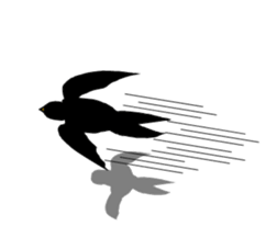 It's a swallow! sticker #5906031