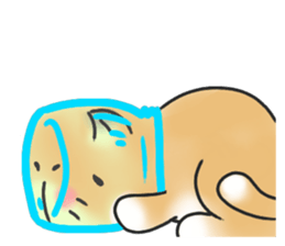 BU SAIKU CAT a sticker #5908962