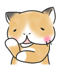 BU SAIKU CAT a sticker #5908973