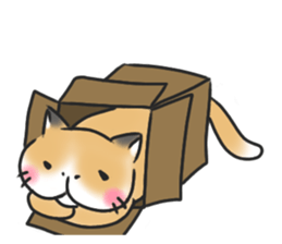 BU SAIKU CAT a sticker #5908992