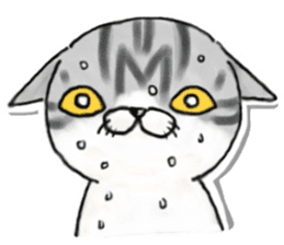 I'm Japanese cat. sticker #5909672