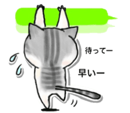 I'm Japanese cat. sticker #5909677