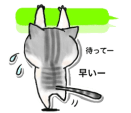 I'm Japanese cat. sticker #5909677