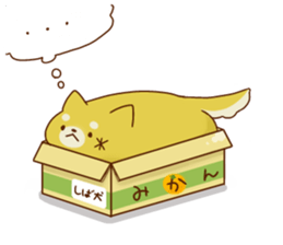 Every day of the browndogs sticker #5910371