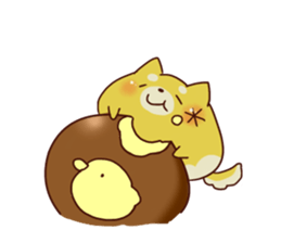 Every day of the browndogs sticker #5910388