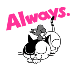 Communication of the cat / Always sticker #5910401