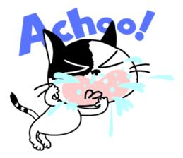 Communication of the cat / Always sticker #5910410