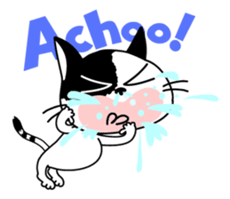 Communication of the cat / Always sticker #5910410