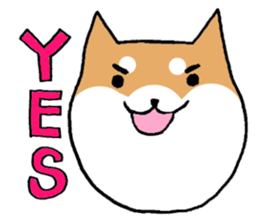 Days at the opera company of Pochiko 2 sticker #5911004