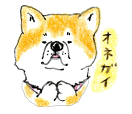 Life of the Japanese Akita sticker #5912799