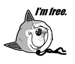 Performance of a stick dog sticker #5914954