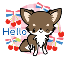 Kawaii Chihuahua 4 (English) sticker #5916560