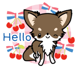 Kawaii Chihuahua 4 (English) sticker #5916560