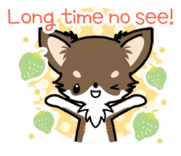 Kawaii Chihuahua 4 (English) sticker #5916562