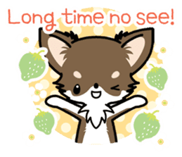 Kawaii Chihuahua 4 (English) sticker #5916562