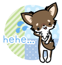 Kawaii Chihuahua 4 (English) sticker #5916564