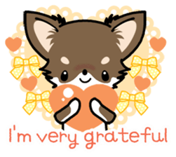 Kawaii Chihuahua 4 (English) sticker #5916567
