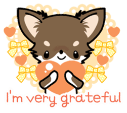 Kawaii Chihuahua 4 (English) sticker #5916567